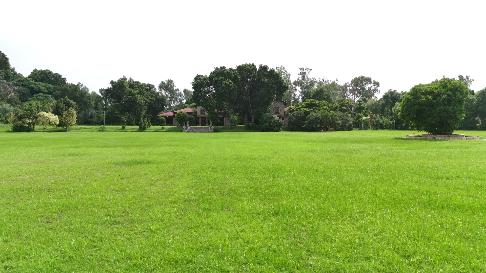 Hill Side Terraced Lawn Tour